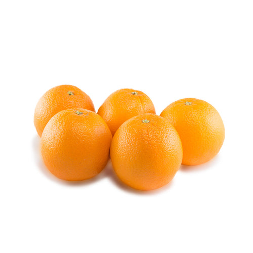 Navel Orange Large