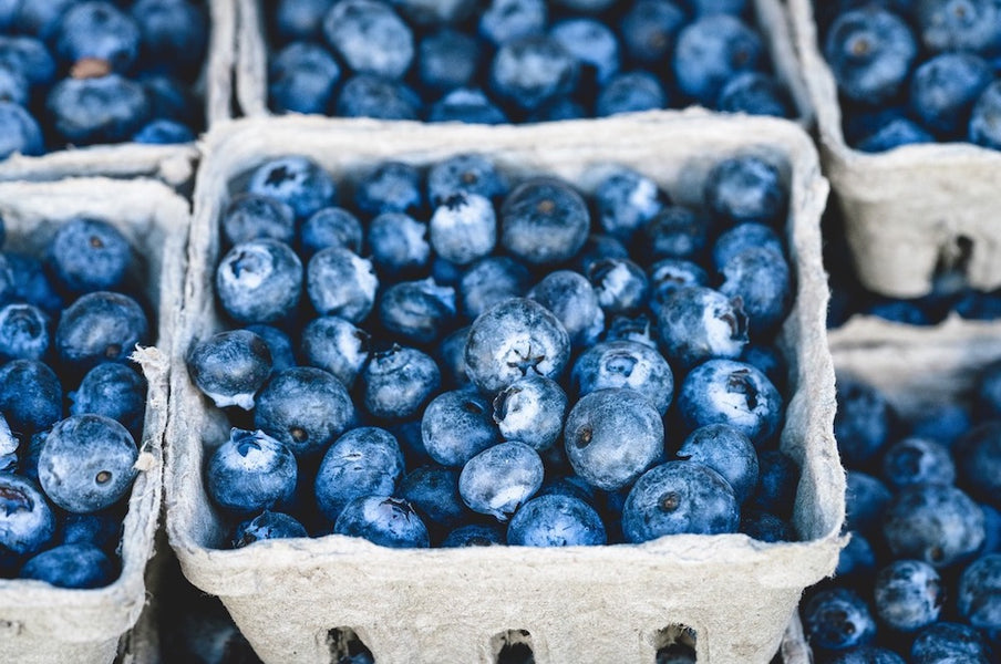 Why Blueberries are a superfood, according to science