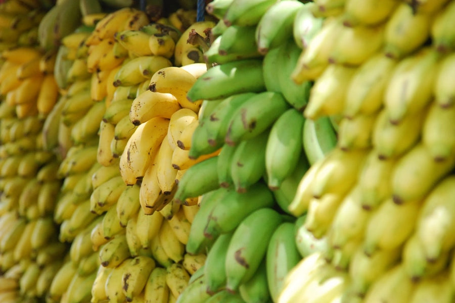 The Many Health Benefits of the Banana