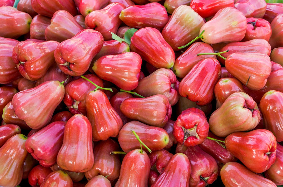5 Reasons the Jambu is an Under-Appreciated Fruit
