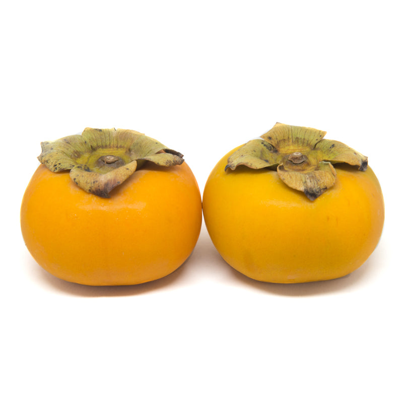Persimmon