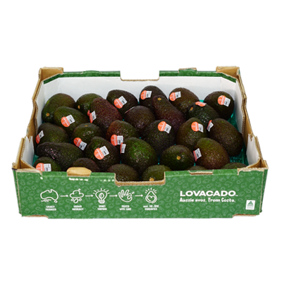 Avocado (Hass) (Box)