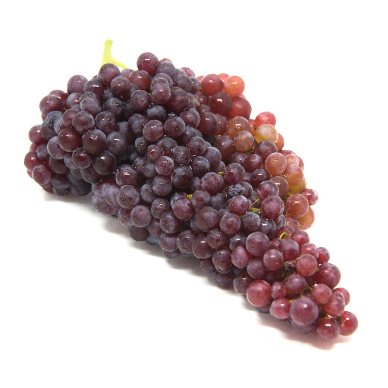 Champagne Grapes
