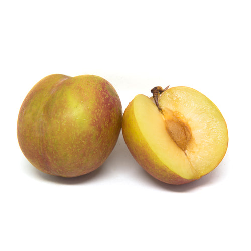 October Sun Plum