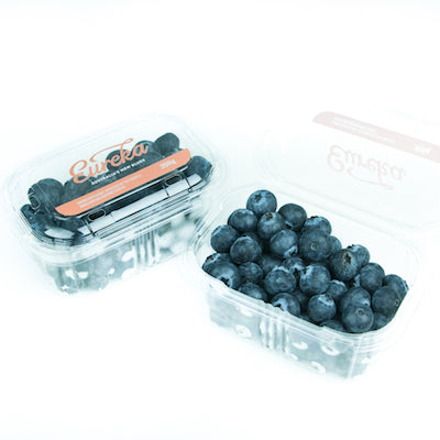 Eureka Blueberries