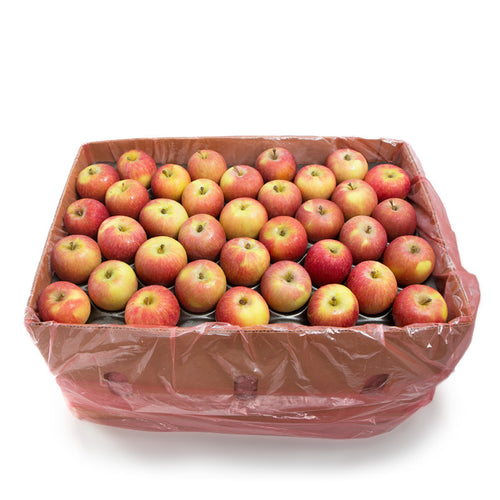 Royal Beaut Apple (Box)
