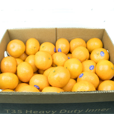 Tangerine (Small) (Box)