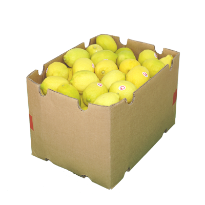 Lemon (Box)