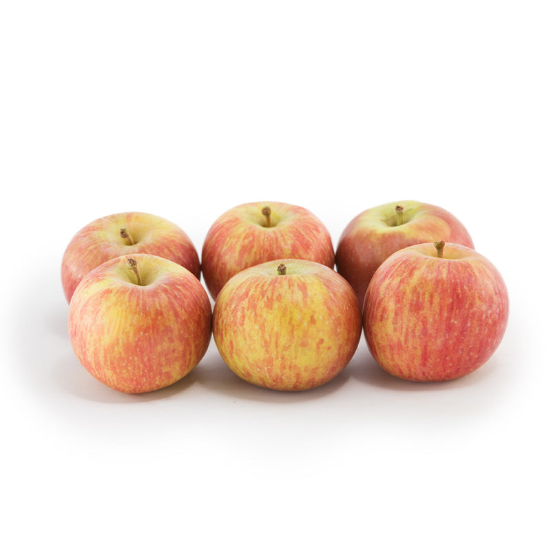Medium Fuji Apple