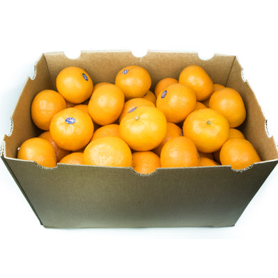 Honey Murcott (Box)