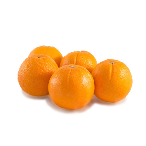 Navel Orange Medium
