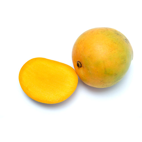 R2E2 Mango