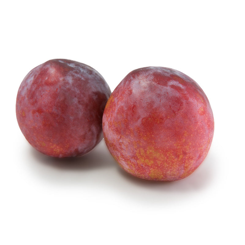 Red Plum