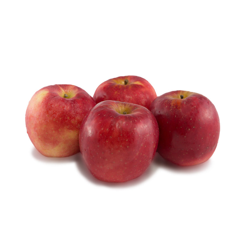 Rose Apple Large