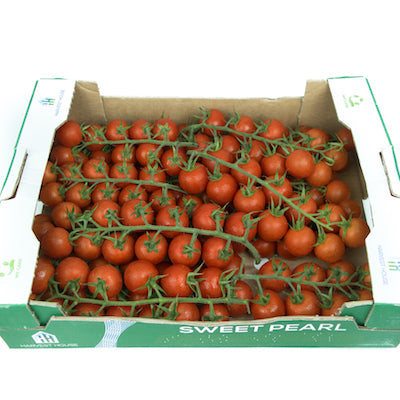 Tomato on Vines (Box)