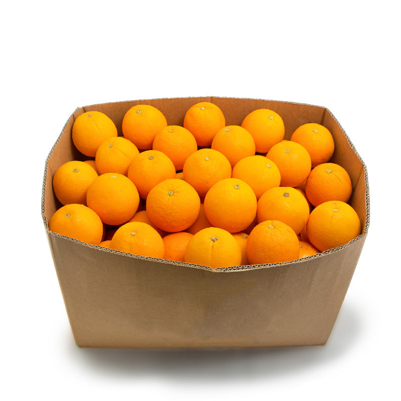 Valencia Orange Box