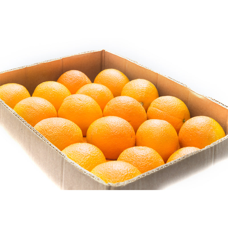Valencia Orange  (Box)
