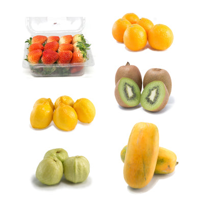 Vitamin C Bundle